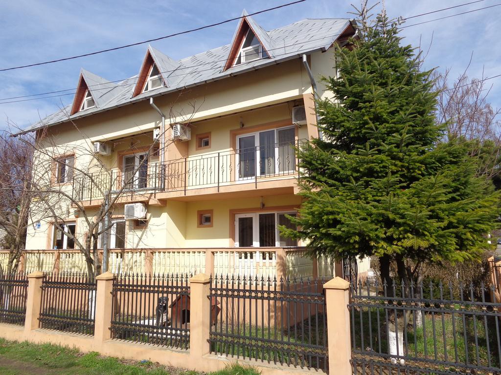 Pensiunea Casa Johnelly Costinesti Bagian luar foto