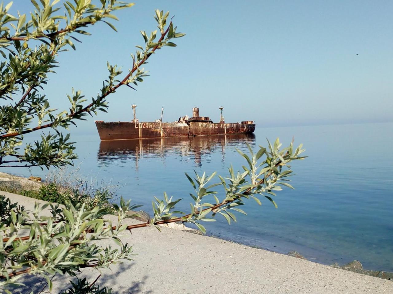 Pensiunea Casa Johnelly Costinesti Bagian luar foto